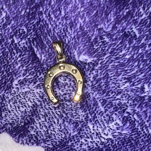 18k gold filled Chic Horseshoe Charm pendant